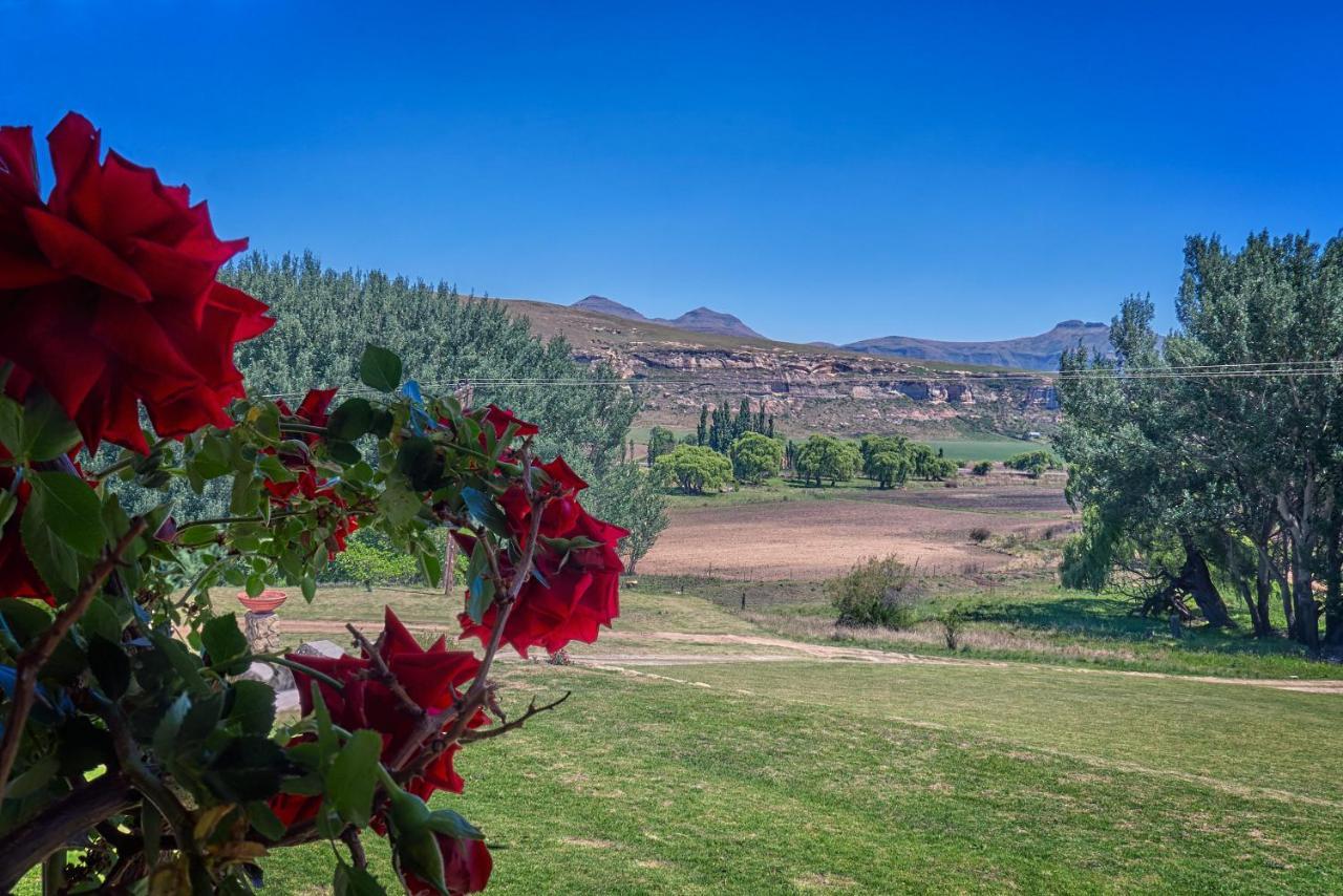 Linwood Guest Farm ξενώνας Clarens Εξωτερικό φωτογραφία